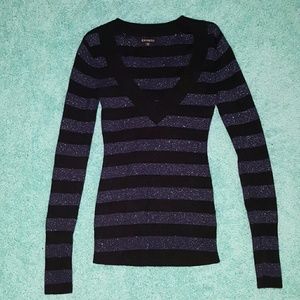 Express sweater shirt
